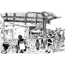 Sébastien Lumineau - Habitations casaçaises 10